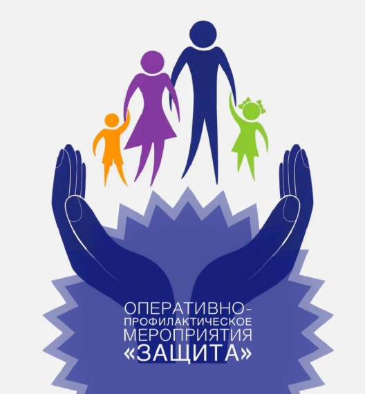 Профилактическое мероприятие «Защита».
